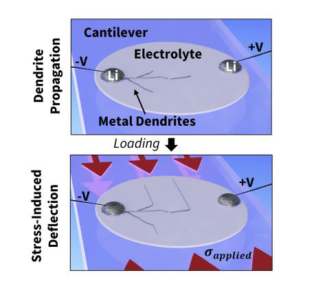 Researchers solved a problem facing solid-state lithium batteries, which can be shorted out by metal filaments called dendrites that cross the gap between metal electrodes. They found that applying a compression force across a solid electrolyte material (gray disk) caused the dendrite (dark line at left) to stop moving from one electrode toward the other (the round metallic patches at each side) and instead veer harmlessly sideways, toward the direction of the force.