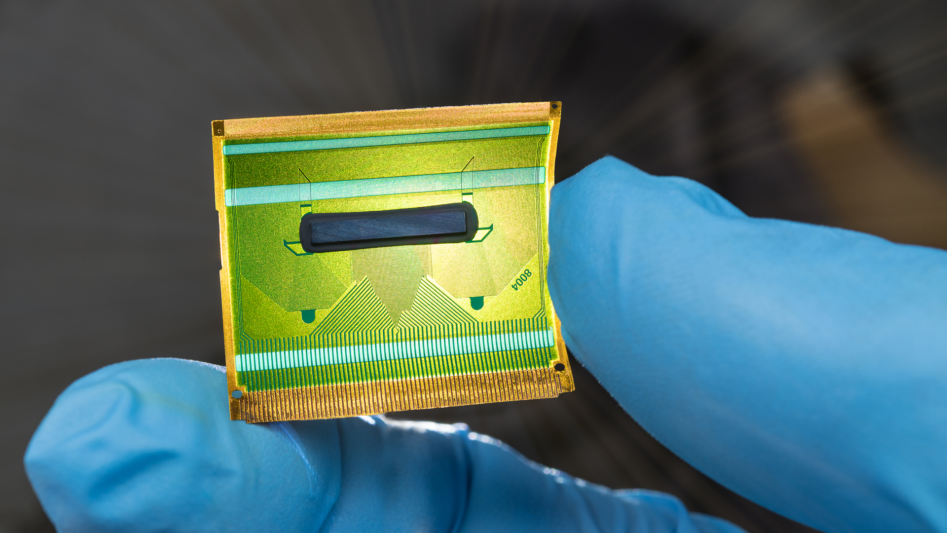 Dreamstime M 205031597