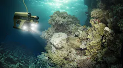 Underwater Dreamstime Sven Bachstroem 103783874