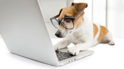 Promo Flydragonfly Dreamstime Xxl 43558890 Promo Flydragonfly Dreamstime Xxl 43558890