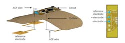 Ed Skin Patches Interest Fig3 Ed Skin Patches Interest Fig3