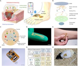 Ed Skin Patches Interest Fig7 Ed Skin Patches Interest Fig7