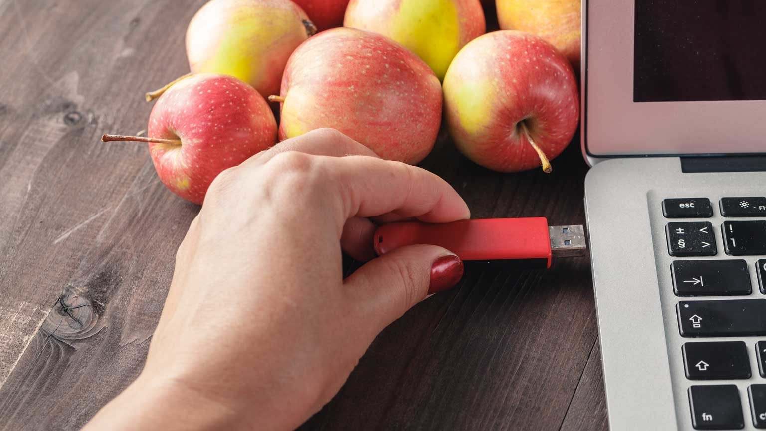 Dreamstime Andrey Cherkasov 77155550