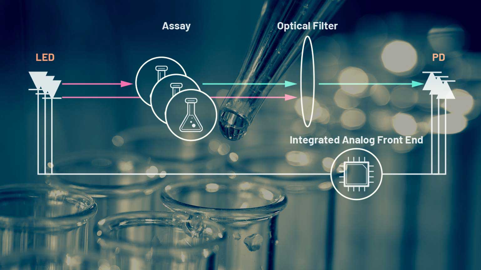 Dreamstime Anna Puhan 38859132 Promo