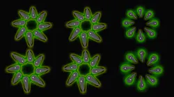 Ed Interest Micro Nano Led Production Eye Candy