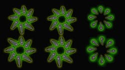 Ed Interest Micro Nano Led Production Eye Candy 64fa3177476be Ed Interest Micro Nano Led Production Eye Candy 64fa3177476be