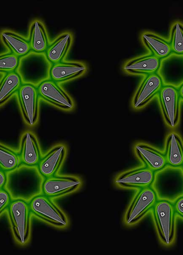 Sept. 18, 2023 - Electronic Design Today cover image