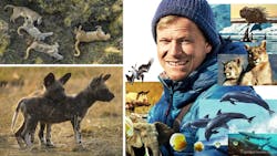 Promo Animals Up Close Promo Image 64f89a094465d Promo Animals Up Close Promo Image 64f89a094465d