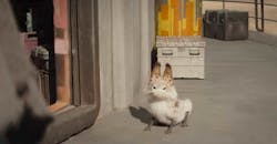 Did I forget to mention the adorable 'Lothcats' from planet Lothal? Did I forget to mention the adorable 'Lothcats' from planet Lothal?