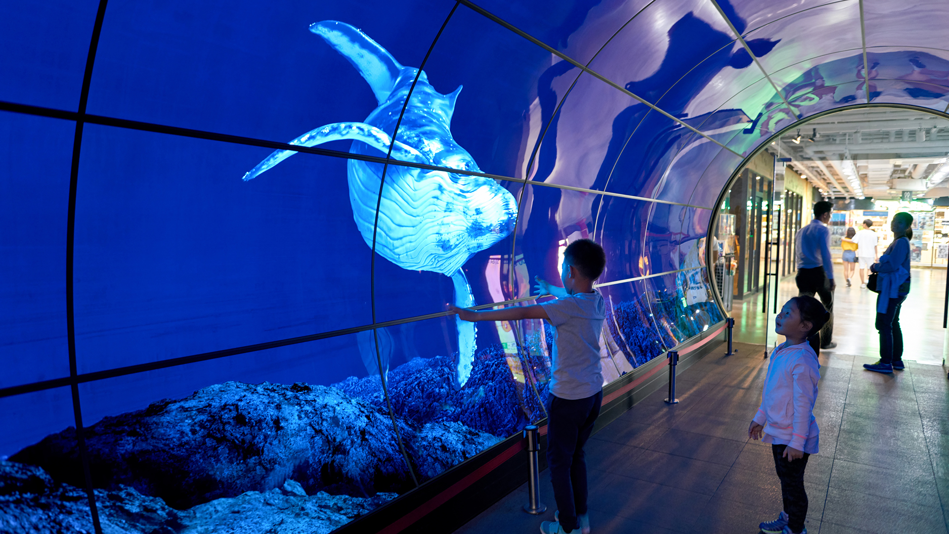 Oled Dreamstime L 105144300