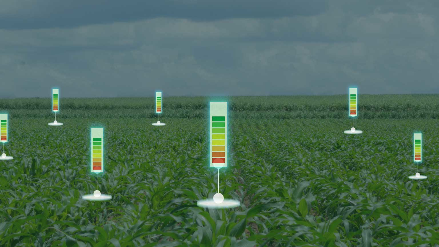 Dreamstime Ekkasit919 124220683 65301d986418d