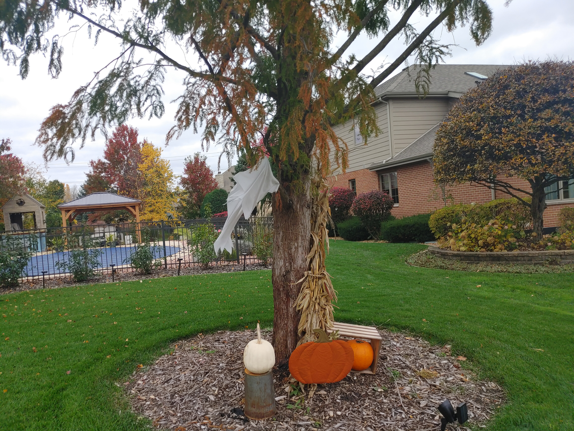 Here&rsquo;s an example of a yard ghost. It's just a little ghost attached to a tree in some random suburb I happened to be riding my bike through.