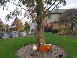 Here’s an example of a yard ghost. It's just a little ghost attached to a tree in some random suburb I happened to be riding my bike through. Here’s an example of a yard ghost. It's just a little ghost attached to a tree in some random suburb I happened to be riding my bike through.