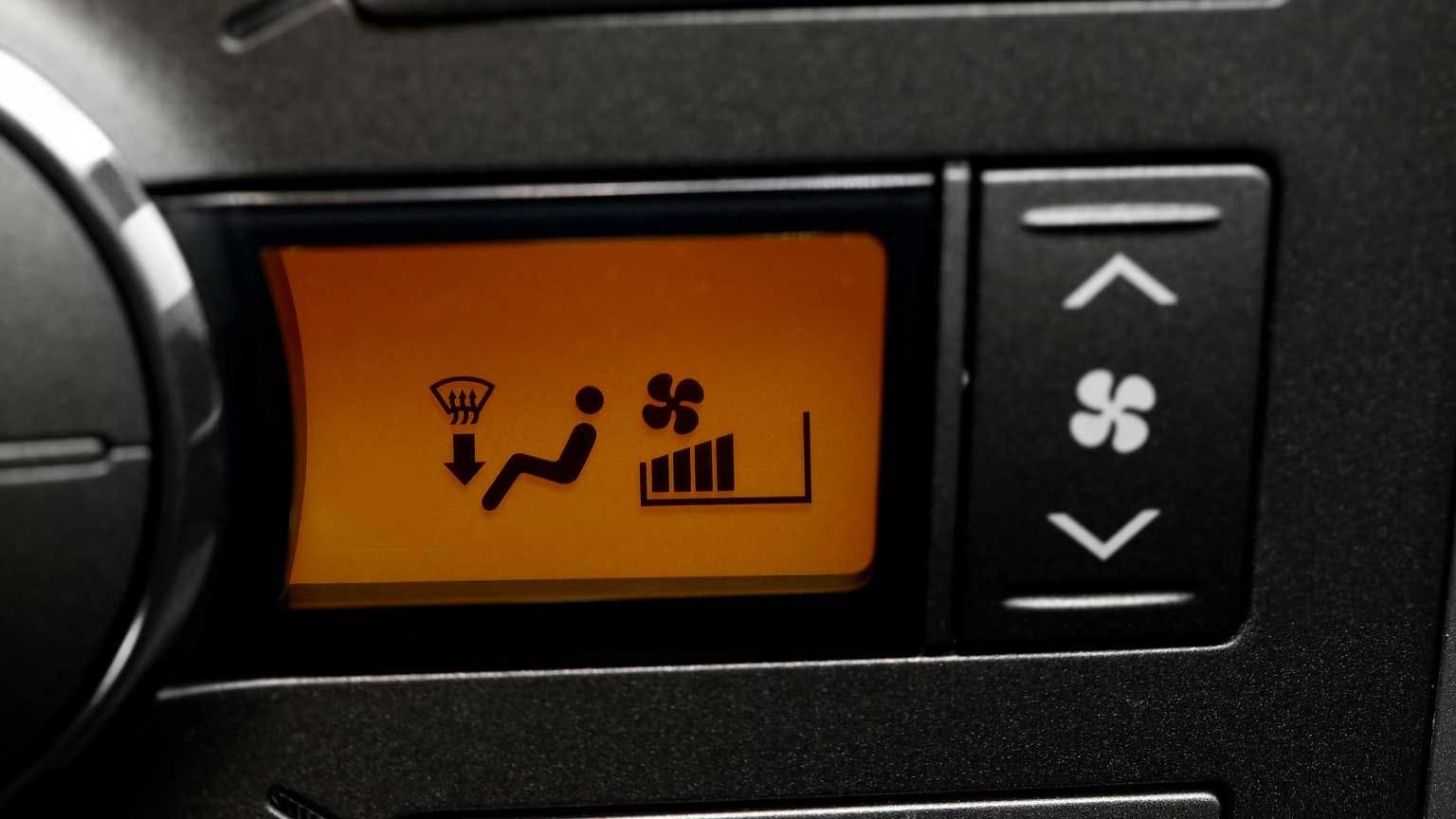 6564f77d529811001e09dfc2 Dreamstime Ptergudella 30407889