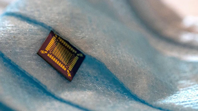659c461d015708001e283962 Ed Silk Or Silicon Interest Eye Candy Web