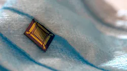 ed_silk_or_silicon_interest_eye_candy_web