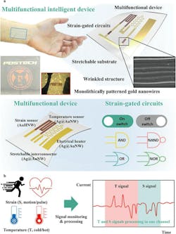 1. Schematic illustration for multifunctional intelligent wearable devices: (a) Sensor systems and strain&dash;gated circuits using monolithically patterned gold nanowires and microwrinkle structures. (b) Multifunctional intelligent wearable devices for signal monitoring and processing simultaneously.