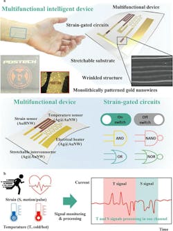 1. Schematic illustration for multifunctional intelligent wearable devices: (a) Sensor systems and strain‐gated circuits using monolithically patterned gold nanowires and microwrinkle structures. (b) Multifunctional intelligent wearable devices for signal monitoring and processing simultaneously. 1. Schematic illustration for multifunctional intelligent wearable devices: (a) Sensor systems and strain‐gated circuits using monolithically patterned gold nanowires and microwrinkle structures. (b) Multifunctional intelligent wearable devices for signal monitoring and processing simultaneously.