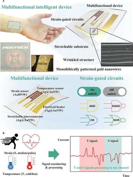 1. Schematic illustration for multifunctional intelligent wearable devices: (a) Sensor systems and strain&dash;gated circuits using monolithically patterned gold nanowires and microwrinkle structures. (b) Multifunctional intelligent wearable devices for signal monitoring and processing simultaneously.