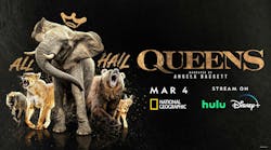 65e606b30a8106001e3f687f Promo Web 65e606b30a8106001e3f687f Promo Web