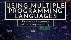 Why Interoperability Between Programming Languages is Important