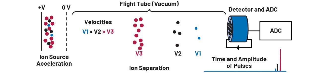 2. Shown is a time-of-flight mass analyzer.