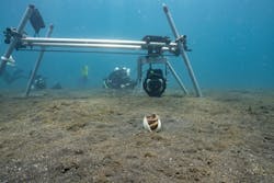 Camera Assistant Woody Spark operates the controls for the team&apos;s underwater camera-and-slider system to film a Coconut octopus (Amphioctopus marginatus) sheltering between clam shells. (National Geographic for Disney/Adam Geiger)