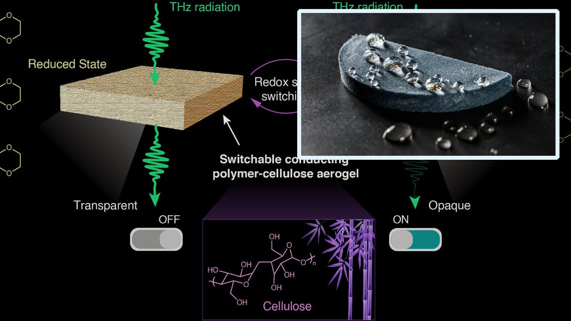 6679c85751e91e7645e347d9 Promo Ed Interest Terahertzgel Fig1