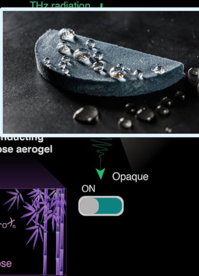 July 8, 2024 - Electronic Design Today cover image