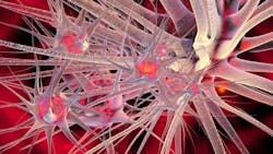 66b56cefad025c48e2952e86 Dreamstime Xl 72744669 66b56cefad025c48e2952e86 Dreamstime Xl 72744669