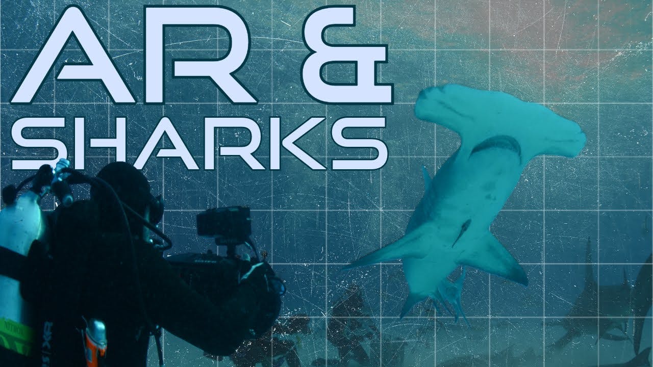 Augmented Reality and Sharks