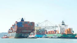 66fc645f299a0465b529be30 Id 91428381 Sheila Fitzgerald Dreamstime 66fc645f299a0465b529be30 Id 91428381 Sheila Fitzgerald Dreamstime