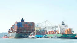 66fc645f299a0465b529be30 Id 91428381 Sheila Fitzgerald Dreamstime 66fc645f299a0465b529be30 Id 91428381 Sheila Fitzgerald Dreamstime