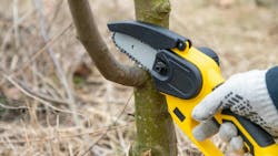 6708169629ed47aa8ad4f289 Chainsaw Dreamstime L 330525632 6708169629ed47aa8ad4f289 Chainsaw Dreamstime L 330525632