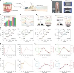 4. Sensor operation with osmotically withdrawn sweat: (a) (i) Schematic highlighting the hydrogel interfacing the skin to facilitate sweat withdrawal with biomarkers, and the (ii) orientation of the osmotic platform with multiple sensor arrays on the fingertip. (b) Optical image of sweat flow in the paper channel with the interfaced enzymatic sensors, and mechanical properties of sensors under stretching and twisting. Scale bar, 5 mm. (c) Dye flow rate on the finger using different hydrogel variants. (d) Schematic illustration of biomarker sensing with related daily activity. (e) Schematic of (i) potentiometric sensors of vitamin C and l-dopa and (ii) enzymic sensors of glucose and lactate. (f) Plots showing in vitro sensor performance with an inset of the calibration curve for (i) vitamin C, (ii) l-dopa, (iii) lactate, and (iv) glucose detection in sweat. (g) On-finger response of the vitamin C sensor after pill intake at t = 0 min from two participants. (h) On-finger response of the l-dopa sensor and blood l-dopa chronoamperometry signal from two participants after fava beans consumption. (i) On-finger response of the lactate sensor measurements at rest using (i) a completely sedentary participant and (ii) on the same participant after 30 min of outdoor walking. (j) On-finger response of the glucose sensor and measured blood lactate concentration after a meal intake at t = 0 min from two participants. BG, blood glucose concentration. 4. Sensor operation with osmotically withdrawn sweat: (a) (i) Schematic highlighting the hydrogel interfacing the skin to facilitate sweat withdrawal with biomarkers, and the (ii) orientation of the osmotic platform with multiple sensor arrays on the fingertip. (b) Optical image of sweat flow in the paper channel with the interfaced enzymatic sensors, and mechanical properties of sensors under stretching and twisting. Scale bar, 5 mm. (c) Dye flow rate on the finger using different hydrogel variants. (d) Schematic illustration of biomarker sensing with related daily activity. (e) Schematic of (i) potentiometric sensors of vitamin C and l-dopa and (ii) enzymic sensors of glucose and lactate. (f) Plots showing in vitro sensor performance with an inset of the calibration curve for (i) vitamin C, (ii) l-dopa, (iii) lactate, and (iv) glucose detection in sweat. (g) On-finger response of the vitamin C sensor after pill intake at t = 0 min from two participants. (h) On-finger response of the l-dopa sensor and blood l-dopa chronoamperometry signal from two participants after fava beans consumption. (i) On-finger response of the lactate sensor measurements at rest using (i) a completely sedentary participant and (ii) on the same participant after 30 min of outdoor walking. (j) On-finger response of the glucose sensor and measured blood lactate concentration after a meal intake at t = 0 min from two participants. BG, blood glucose concentration.