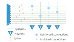 3. Spiking neural networks (SNNs) simulate pulses would be used by a real neuron. SSNs leverage a similar event-based computation that uses thresholds to generate a “pulse.” However, unlike a conventional NPU, the SNN only does a computation when a pulse occurs. 3. Spiking neural networks (SNNs) simulate pulses would be used by a real neuron. SSNs leverage a similar event-based computation that uses thresholds to generate a “pulse.” However, unlike a conventional NPU, the SNN only does a computation when a pulse occurs.
