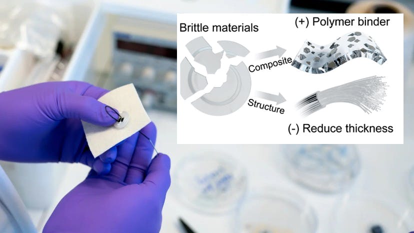 ed_interest_textileharvesting_eyecandy1