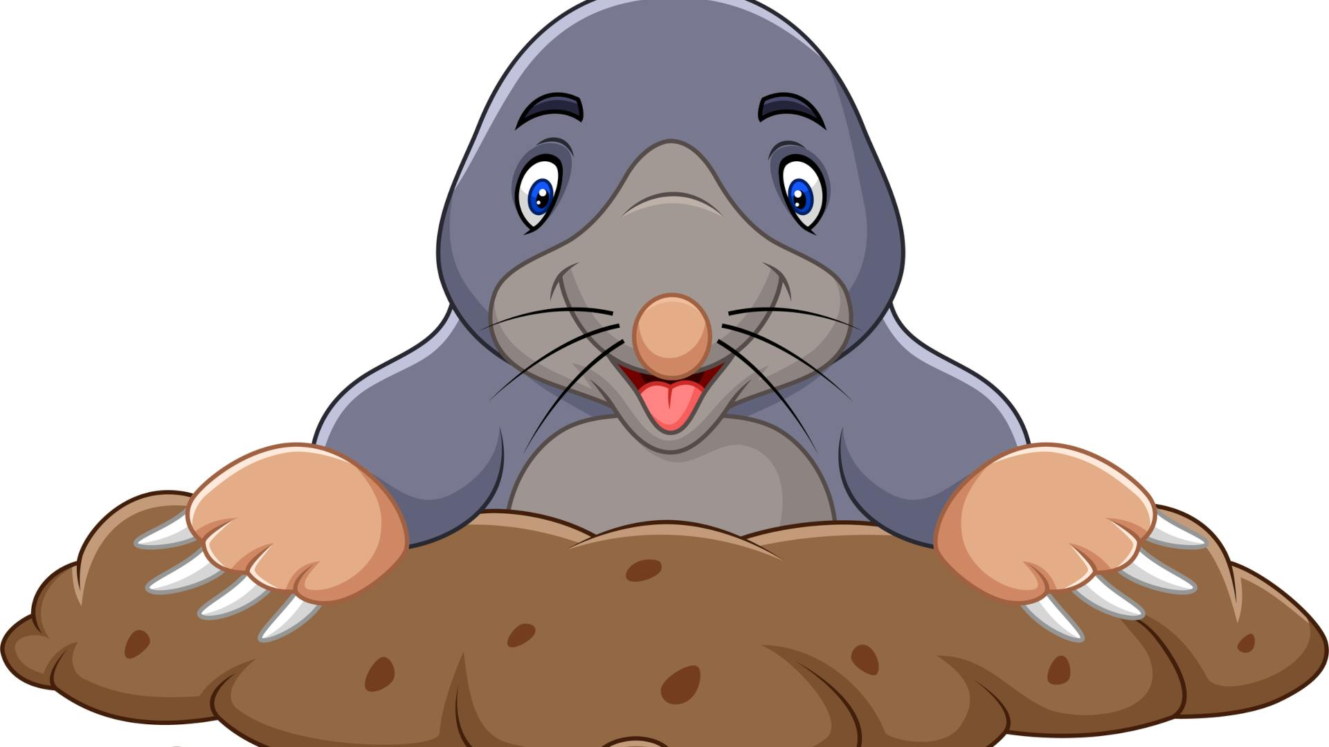 mole_dreamstime_l_136771542