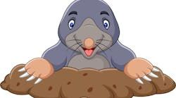 mole_dreamstime_l_136771542 mole_dreamstime_l_136771542