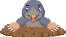 67803fc1f2591f3dd21973e0 Mole Dreamstime L 136771542 67803fc1f2591f3dd21973e0 Mole Dreamstime L 136771542