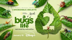 promo_arealbugslifes2_3840x216promoimage0_3_web promo_arealbugslifes2_3840x216promoimage0_3_web