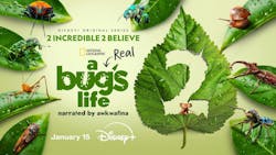 678831b05de5b8eb7f496a70 Promo Arealbugslifes2 3840x216promoimage0 3 Web 678831b05de5b8eb7f496a70 Promo Arealbugslifes2 3840x216promoimage0 3 Web