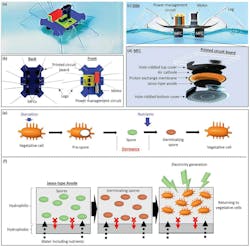 Overview of the autonomous aquatic robot design Overview of the autonomous aquatic robot design