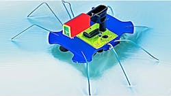 67a23d76e3fac12e3074c760 Ed Interestwaterbug Eyecandy 67a23d76e3fac12e3074c760 Ed Interestwaterbug Eyecandy