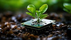 67a38d8a4af8194161ba9d2d Dreamstime Yuliiakaveshnikova 292014901 67a38d8a4af8194161ba9d2d Dreamstime Yuliiakaveshnikova 292014901