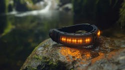 67a3d86810e7af82d7a9216f Dreamstime Yuriynedopekin 352298417 67a3d86810e7af82d7a9216f Dreamstime Yuriynedopekin 352298417