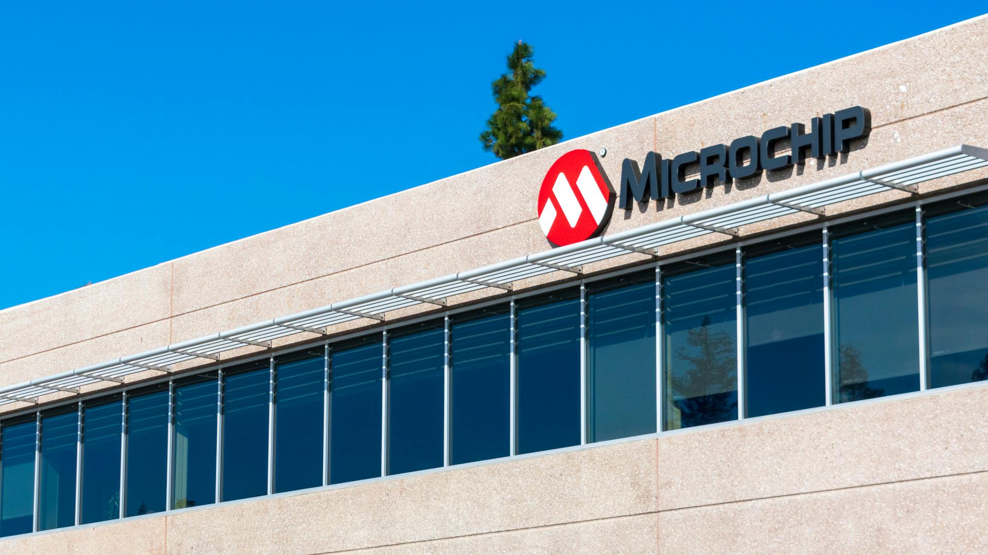 microchip_dreamstime_l_174168074