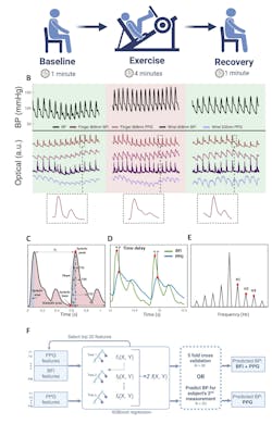 Measurement protocol and data analysis of the blood-pressure monitor Measurement protocol and data analysis of the blood-pressure monitor