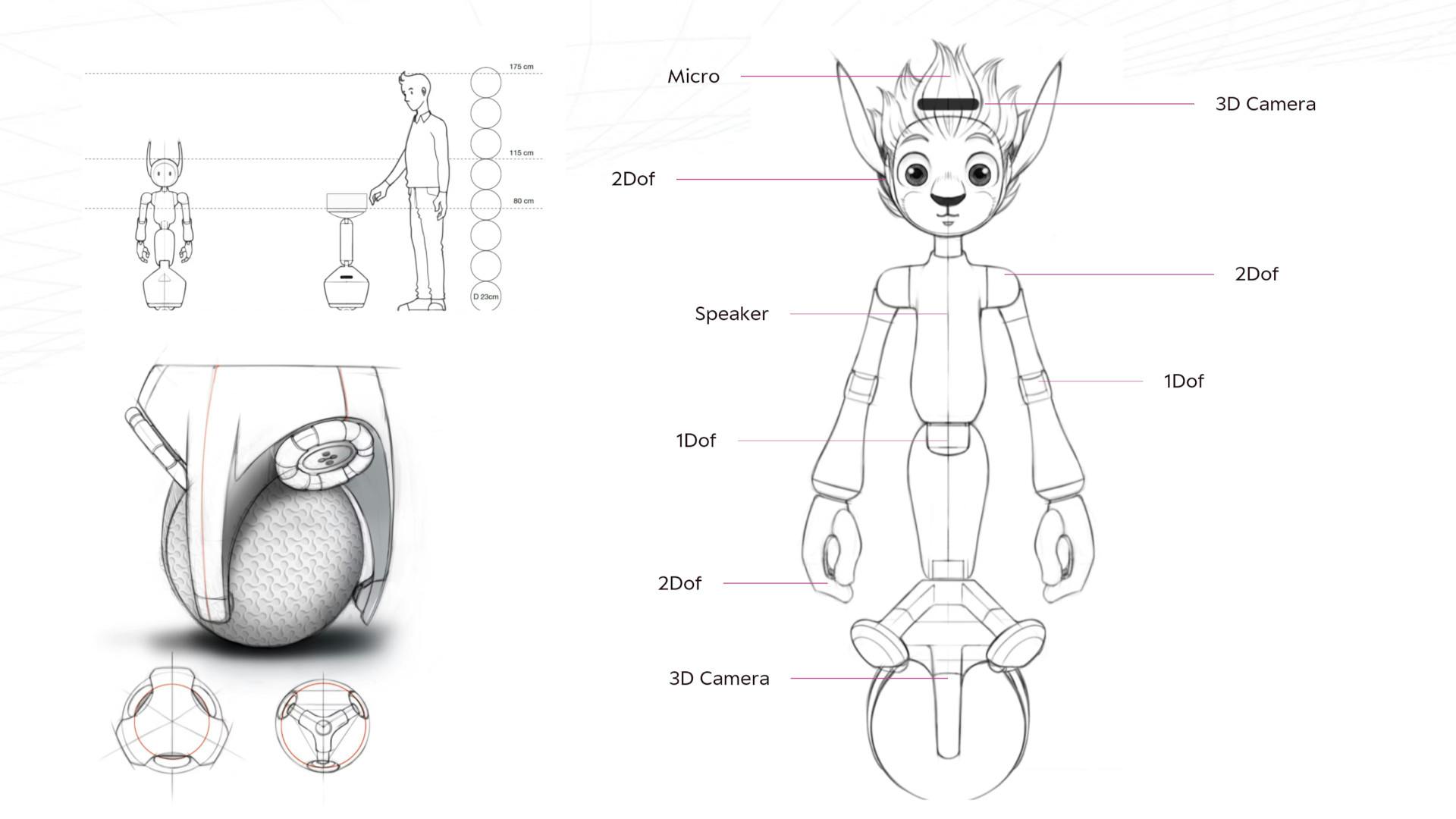 Miroka&iuml; has 28 degrees of freedom, two color/infrared cameras, and a dozen time-of-flight cameras