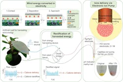 Overview of the organic electronic ion pump powered by the plant-hybrid triboelectric generator Overview of the organic electronic ion pump powered by the plant-hybrid triboelectric generator